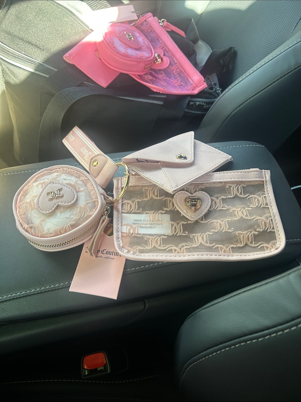 Juicy Couture Pink Multi-Pouch Travel Organizer